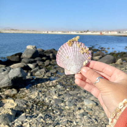 Experiencia Bahía Inglesa