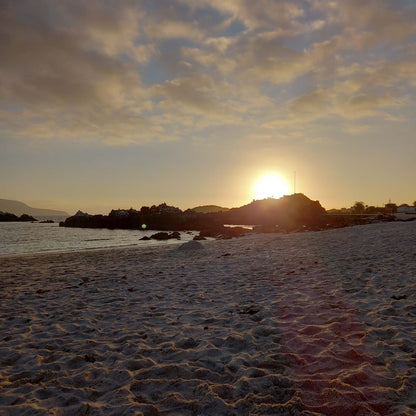 Experiencia Bahía Inglesa