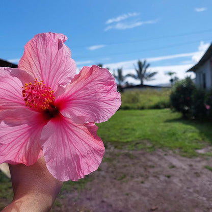 Experiencia Rapa Nui