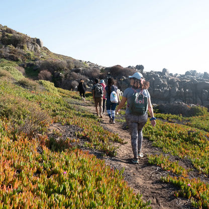 Experiencia SUP Salinas de Pullally