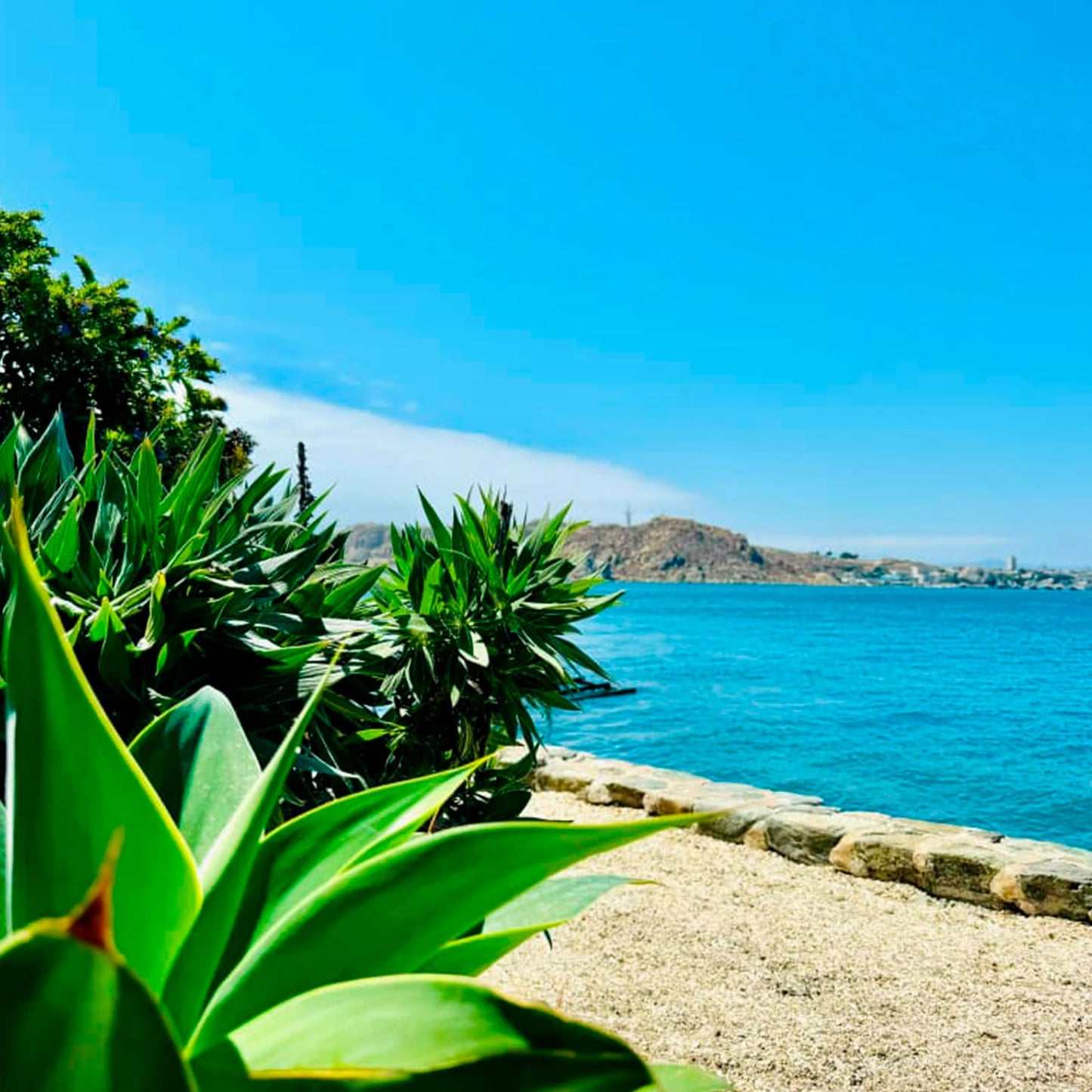 Experiencia Coquimbo, La Serena - SURF, SURFESTIVAL Y SUP