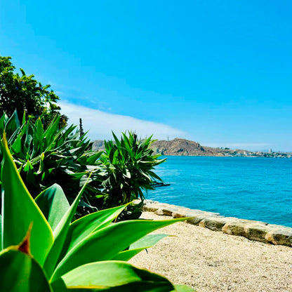 Experiencia Coquimbo, La Serena - SURF, SURFESTIVAL Y SUP