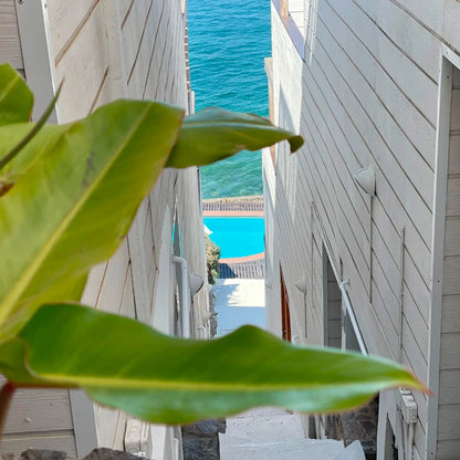 Experiencia Coquimbo, La Serena - SURF, SURFESTIVAL Y SUP