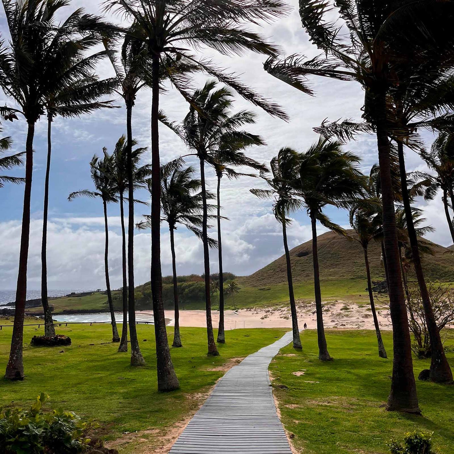 Experiencia Rapa Nui