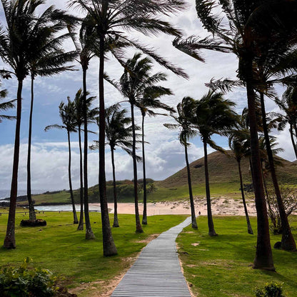 Experiencia Rapa Nui