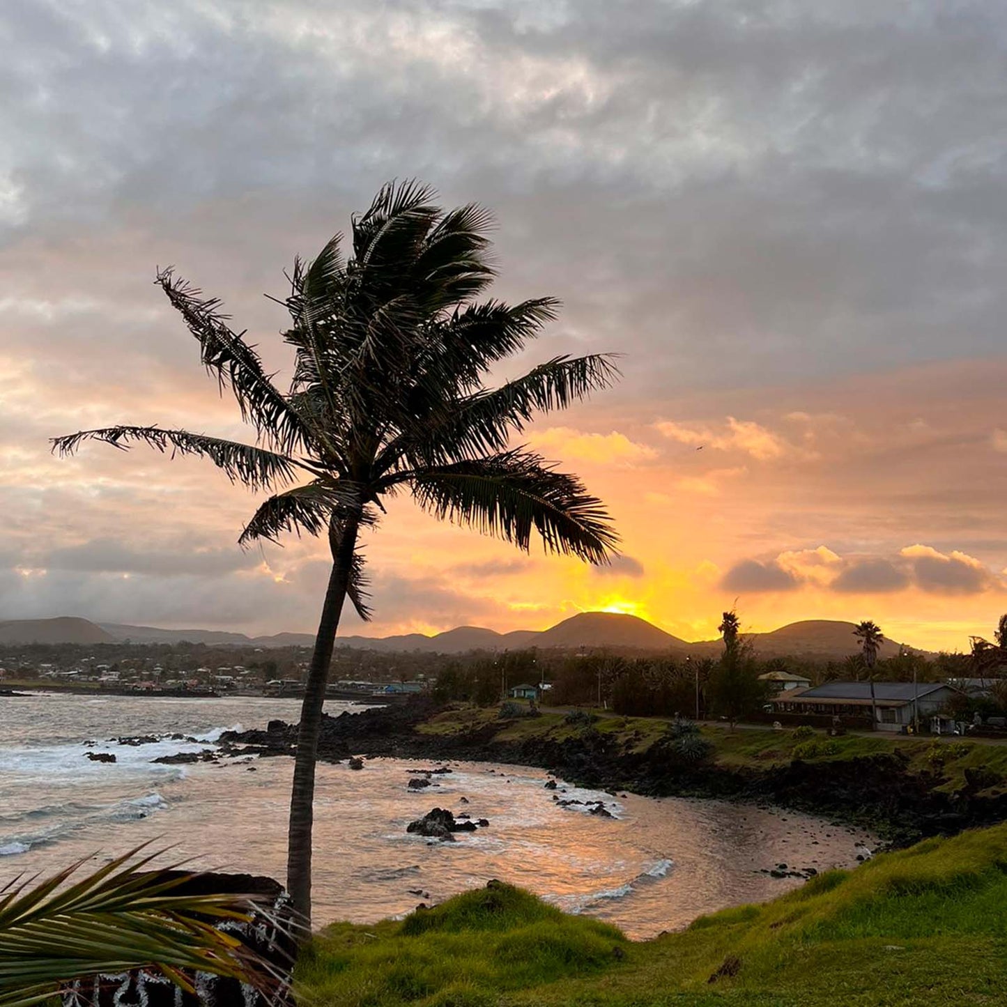 Experiencia Rapa Nui